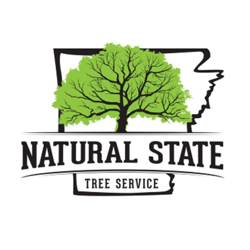 natural state