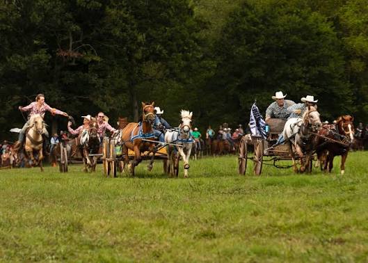 Ridin' 4 Cash Chuckwagon Races